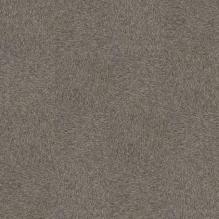 Ковровая плитка Employ Loop 4197005 Praline