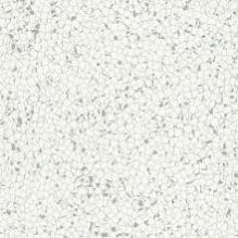 Токопроводящая ПВХ плитка Lino Fatra Electrostatic Dynamic Elektrostatik X, Dynamik X 1002